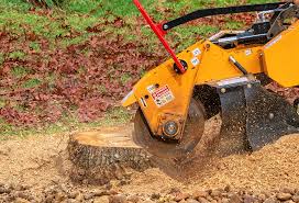 Huntington Beach, CA Tree Care Company